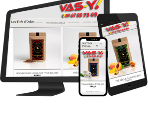 site e-commerce pas cher